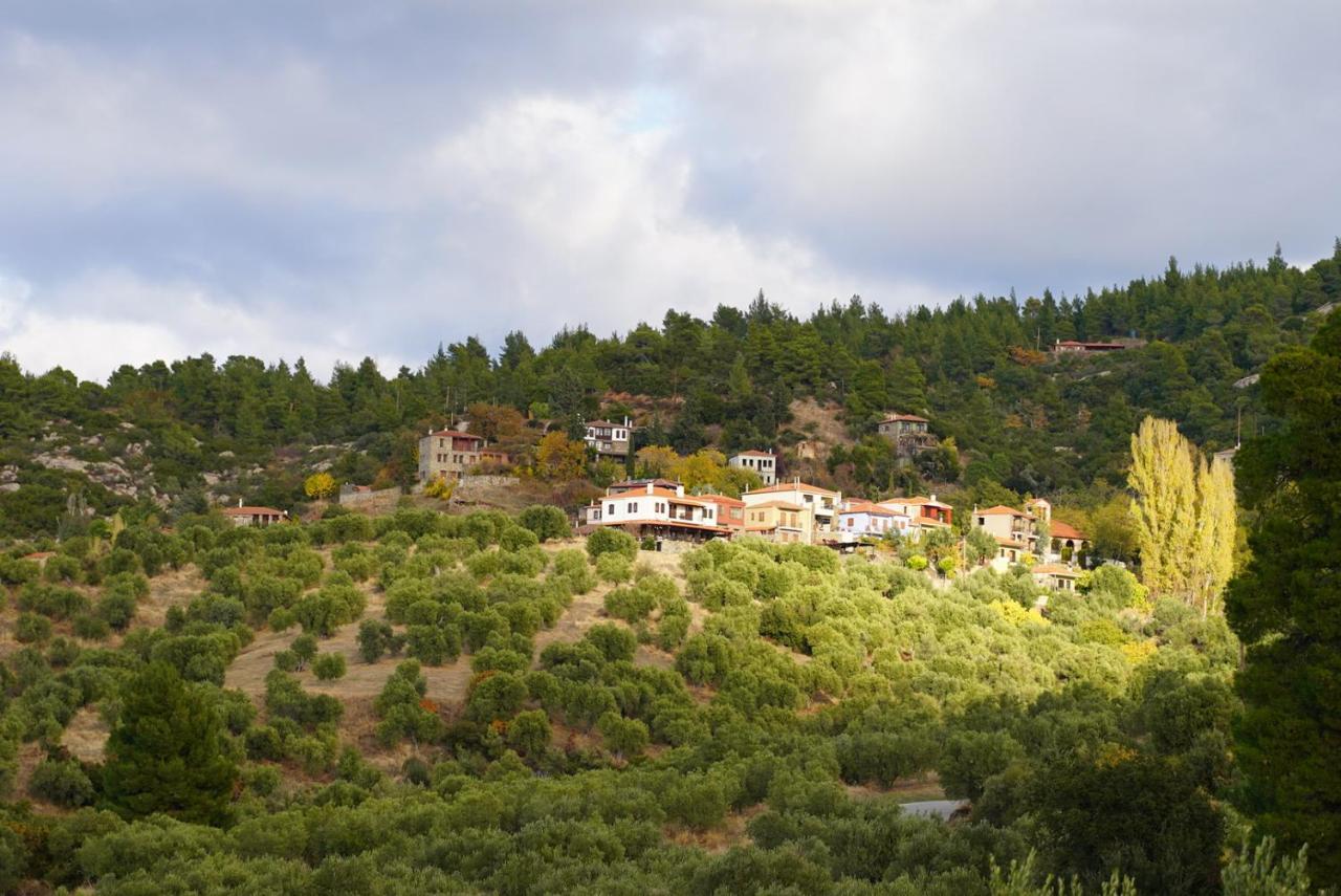 Alterra Vita Eco Villas Neos Marmaras Esterno foto